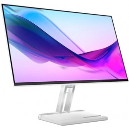 Monitor Lenovo L24i-4A (67BCKAC6EU)