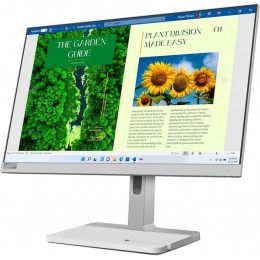 Monitor Lenovo L24m-4A (67BDUAC6EU)