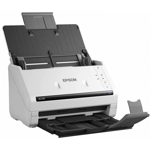 Skaner Epson WorkForce DS-530II (B11B261401)