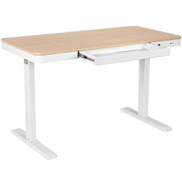 Kompyuter masası 2E CE218D-MOTORIZED hündürlük tənzimlənməsi ilə