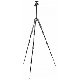 Штатив Manfrotto BEFREE ADV AL TWT BLK KIT BH (MKBFRTA4BK-BH)