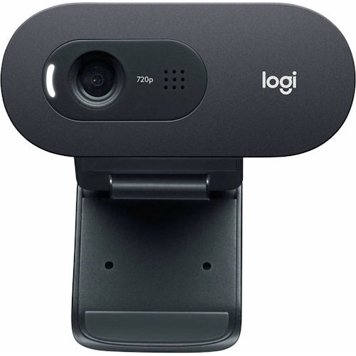 Veb kamera Logitech C505 HD (960-001364)